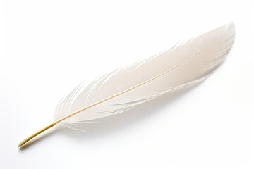 white background with feather