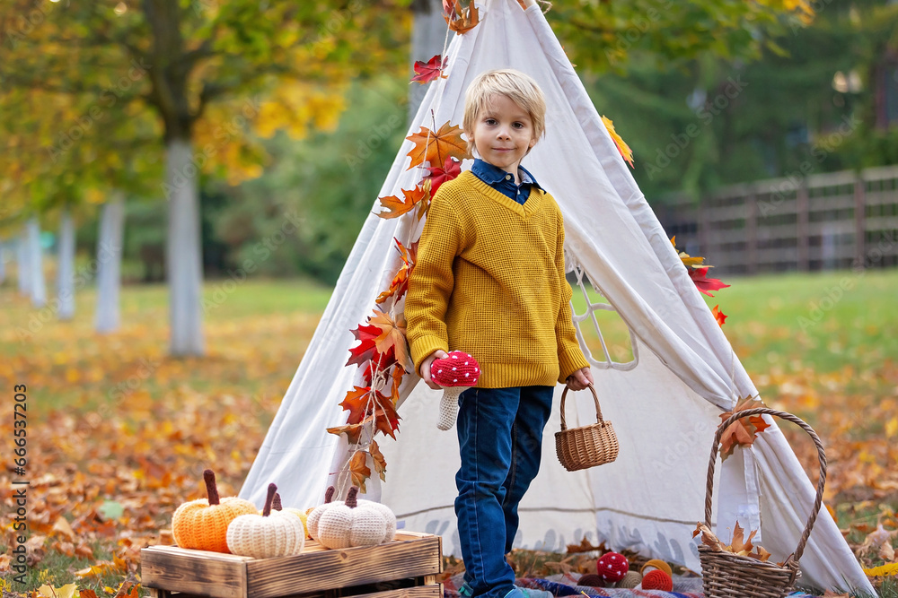 Wall mural Cute blond child, boy, playing with knitted toys in the park, autumntime