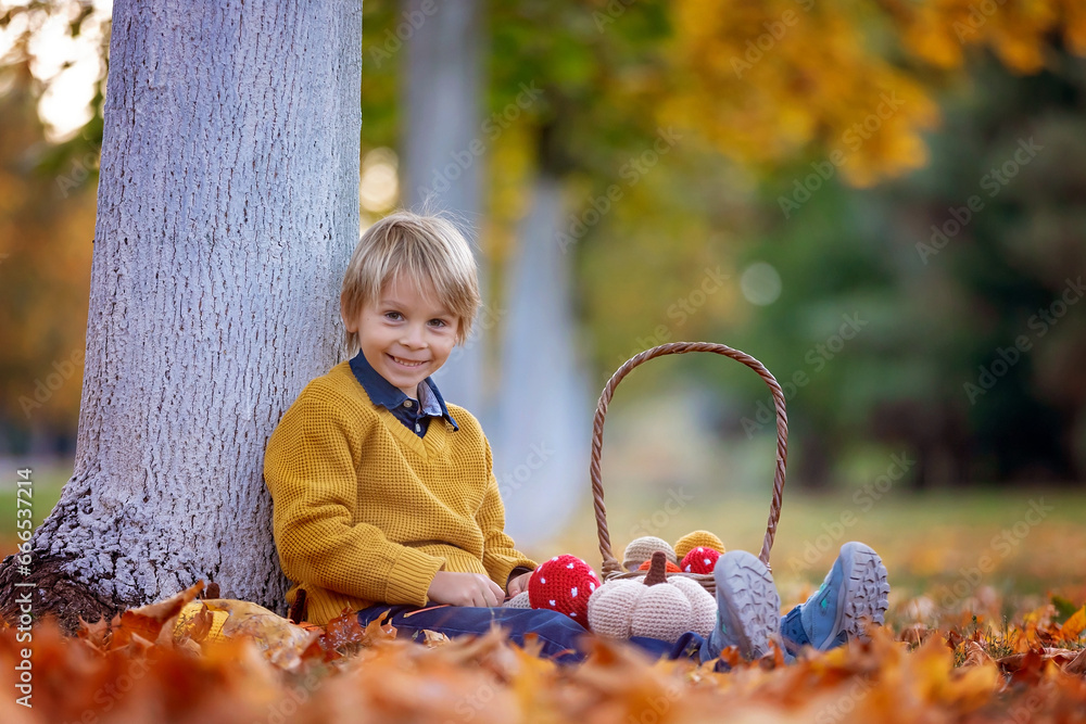 Wall mural Cute blond child, boy, playing with knitted toys in the park, autumntime