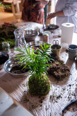 Botanical Elegance: Areca Palm Kokedama and Gardening Tools on a Table