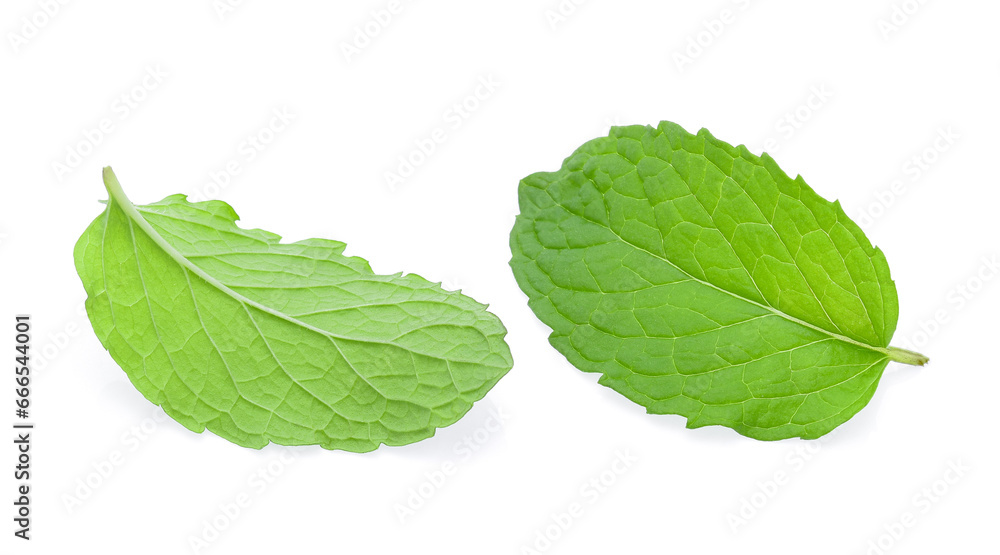 Wall mural mint leaf isolated on white background.