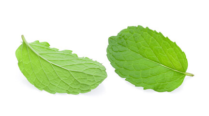 Mint leaf isolated on white background.