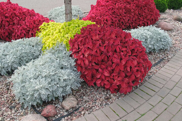 Frontyard Paver Walkway. Beautiful Garden path made of natural stones, gravel. Huge landscaping...