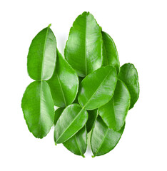 Top view of Kaffir lime leaf isolated on white background - obrazy, fototapety, plakaty