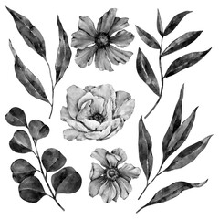 Set of black and white flowers and leaves