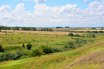 Fototapeta premium valley with beautiful cloudscape and green and yellow fields copy space 