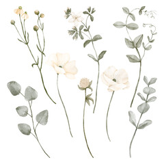 Set of green forest flowers and leaves