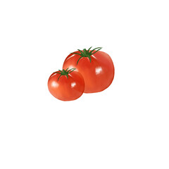 tomato isolated on white background - obrazy, fototapety, plakaty
