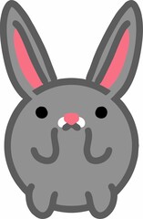 grey rabbit