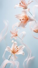 Motion of petals from roses and lilies on a satin silver background. Ethereal floral design card,...