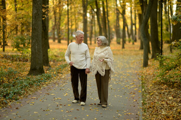 Fototapeta premium Elderly couple dance in the park in autumn.