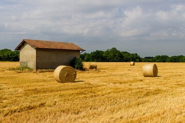 Fototapeta premium Casolare nel campo