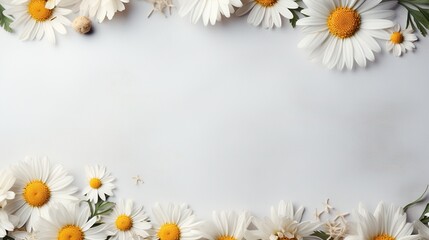  a group of daisies on a white background with space for text.  generative ai