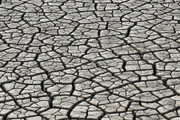 The soil is dry and cracked due to lack of water. for background images