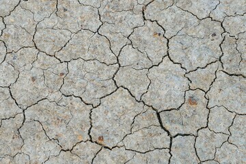 The soil is dry and cracked due to lack of water. for background images
