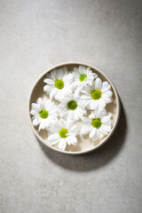 White daisies flowers in a stone plate top view