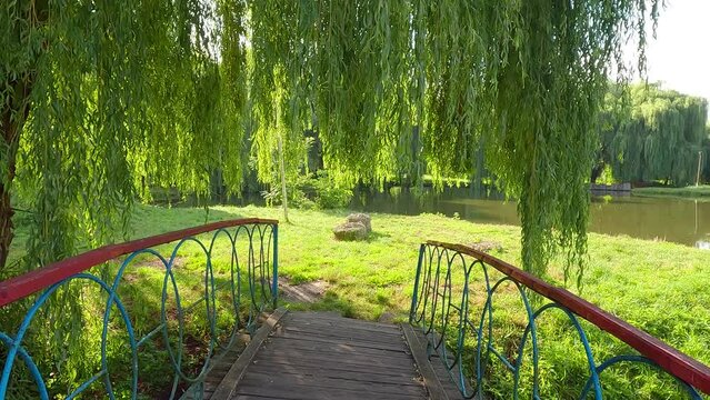 Fresh green view of Seret river. Splendid morning scene of Topilche Park witj wooden bridge, Ternopil, Ukraine, Europe. Beauty of nature concept background. 4K video (Ultra High Definition).