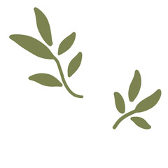 Leafs, flowers, mushrooms butterflies and plants in the garden, blooming flowers, cute butterflies. Lively seasonal