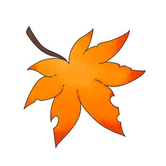 Leafs, flowers, mushrooms butterflies and plants in the garden, blooming flowers, cute butterflies. Lively seasonal