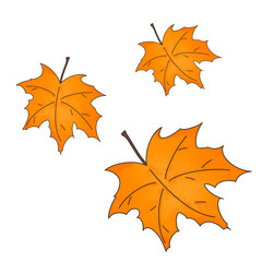 Leafs, flowers, mushrooms butterflies and plants in the garden, blooming flowers, cute butterflies. Lively seasonal 