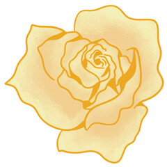 Leafs, flowers, mushrooms butterflies and plants in the garden, blooming flowers, cute butterflies. Lively seasonal 