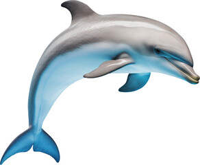 dolphin transparent background PNG clipart - obrazy, fototapety, plakaty
