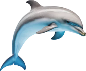 Fotobehang dolphin transparent background PNG clipart © Chrixxi