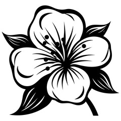 Flower, Blossom Vector Illustration. SVG