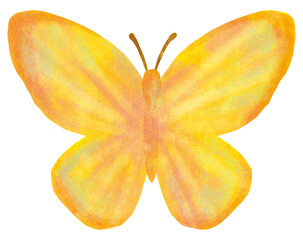 かわいいチョウのイラスト