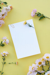 Composition of flowers. Paper blank (Mock up) with light flowers Chrysanthemum for pastel background. Flat lay, top view, place for text copy space. Flower card.