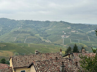 Italian landscape in Langhe and Monferrato, vineyards are visible on the hills. - 666573497
