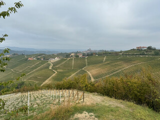 Italian landscape in Langhe and Monferrato, vineyards are visible on the hills. - 666573607