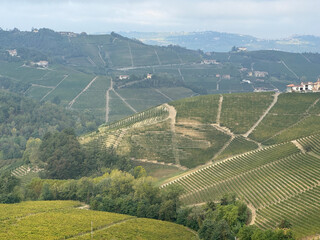 Italian landscape in Langhe and Monferrato, vineyards are visible on the hills. - 666573629