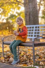 Beautiful blond preschool child, boy, sitting in the park in the morning sunrise, enjoying autumn weather, drinking tea and enjoying the sun