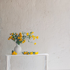 yellow chrysanthemums in white vase on background old white wall - 666577620