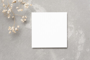 Floral greeting card mockup with gypsophila flowers for a quote on trendy grey background, square card mock up - obrazy, fototapety, plakaty