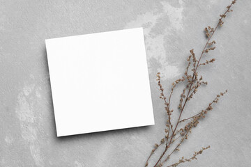 Botanical greeting card mockup, flat lay with dry flowers on trendy grey background, square card mock up © nikavera