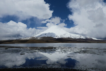 Chungara volcano reflected on the lake. At 4500m. Andes