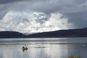 Obraz na płótnie Canvas Volcano reflected on the Chungara lake. At 4500m. Andes