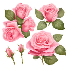 Collection of lovely pink wild roses, buds, and leaves isolated on a transparent background, vibrant magenta floral design elements, top view. Generative AI