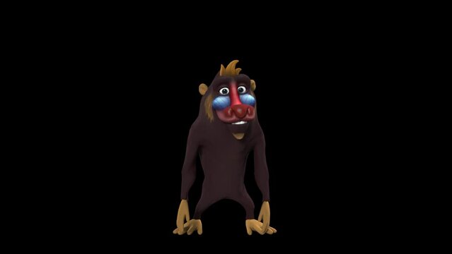 Cartoon Funny Monkey Laughing Video in the Transparent Background