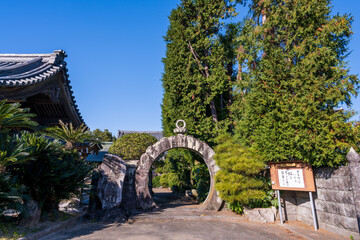 秋晴れ日差しと境内風景(観光スポット)
Autumn sunshine and temple grounds scenery...