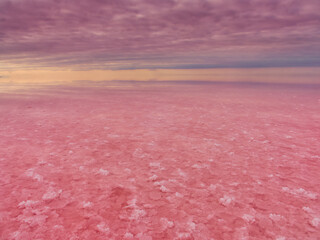Pink lake, incredible natural landscape. The salt lake turned pink. Vivid red Salt deposits on the...