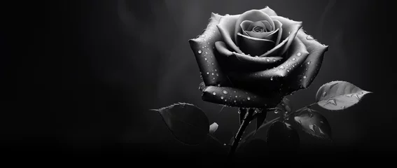 Tuinposter Beautiful black and white rose on black background with copy space. © Rudsaphon