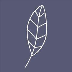 Hand drawn art of elegant leaf.