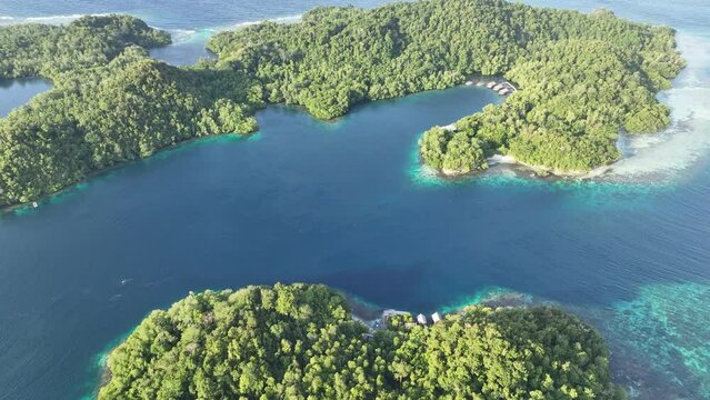 Tropical forest is fringed by coral reefs at Yangeffo Island in Raja Ampat. This area is known as the heart of the Coral Triangle due to its incredible marine biodiversity.