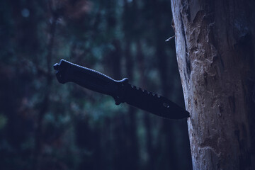 Tactical hunting knife is stuck into trunk dead tree.