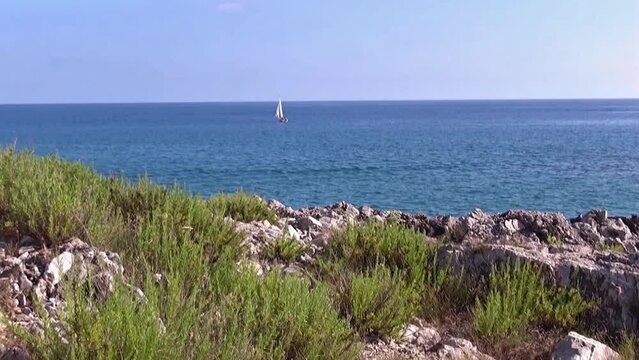 Cliffs and vegetation along the stony shoreline.