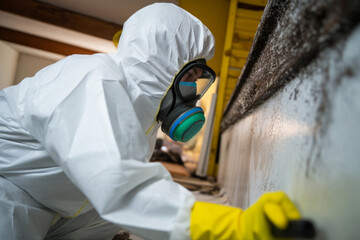 A professional technician in protective gear working to remove mold from a home. Generative Ai - obrazy, fototapety, plakaty