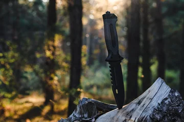 Foto op Plexiglas Tactical tourist knife stuck into tree stump against background sunset in forest. © freeman83